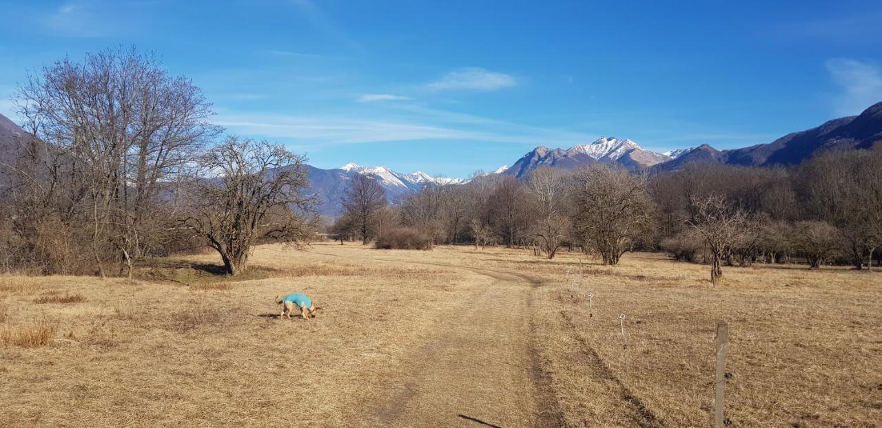 Appartamento Di Vacanza Casa Leoni Verscio Exteriér fotografie